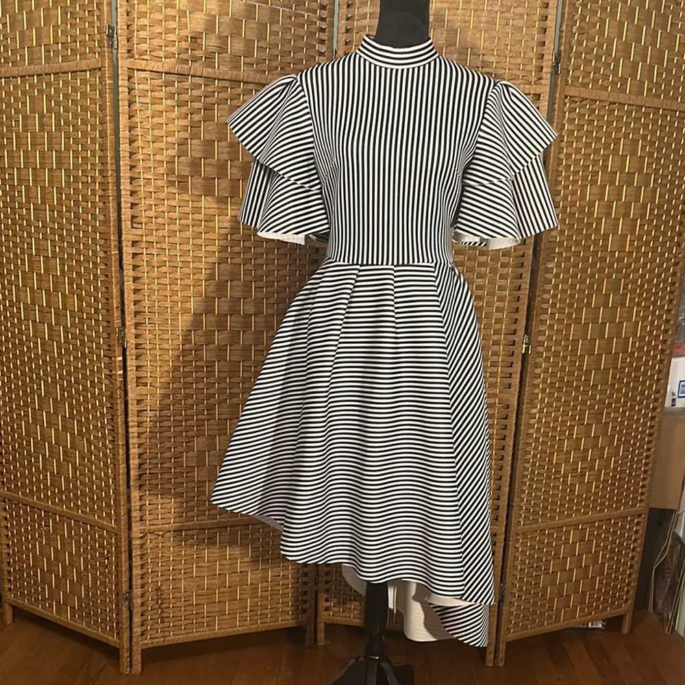 Elegant Black and White Striped Dress